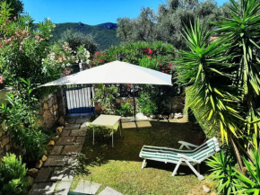 Casa Zila